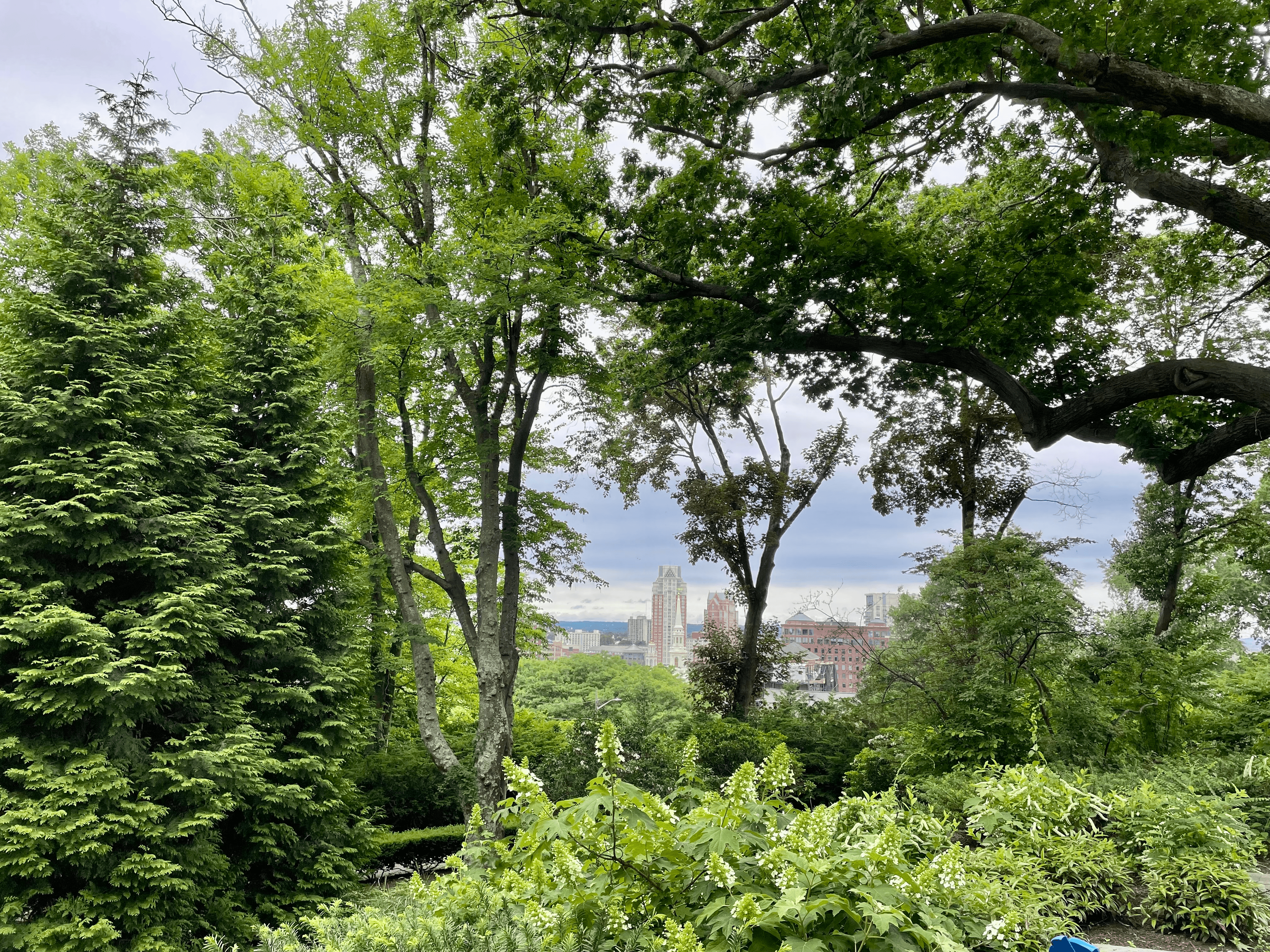 View of Providence from RISD