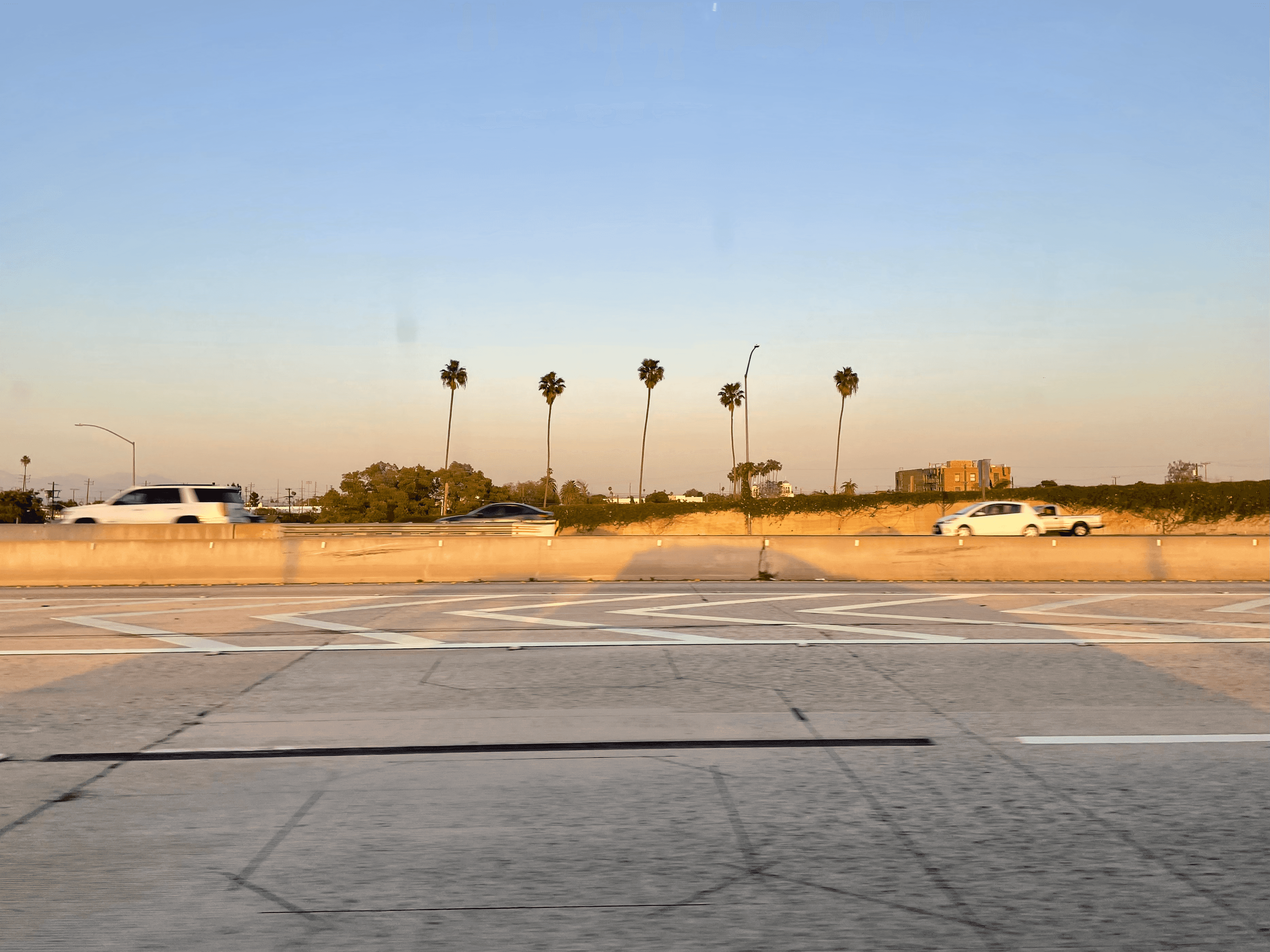 Palm trees on the freeway during golden hour